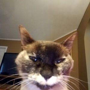 Meet your Posher, Lori